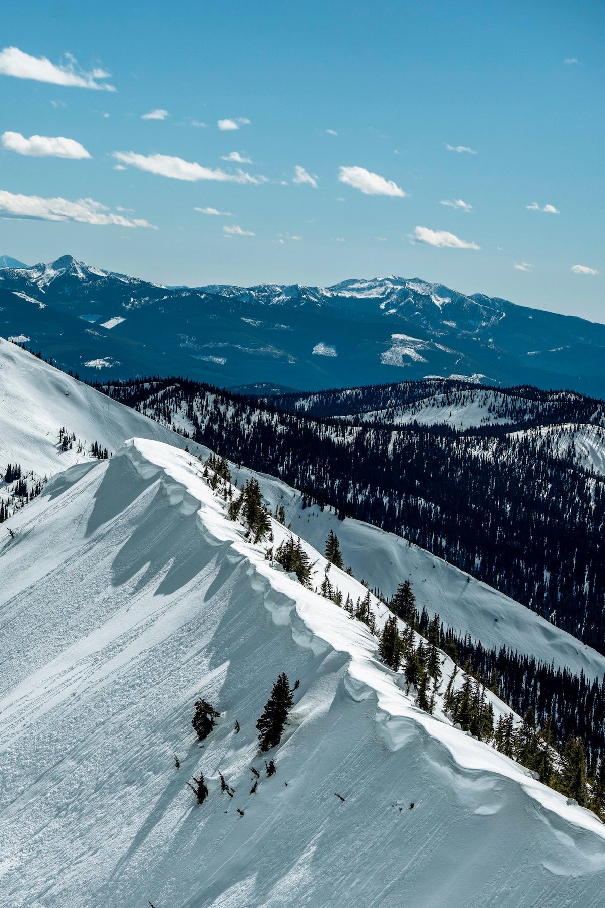 Snowboarder in an orange jacket riding through fresh powder on a sunny, tree-lined mountain slope.