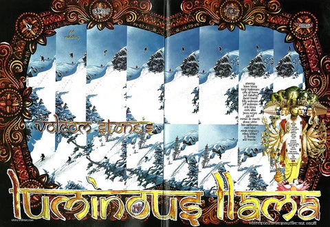 Luminous Llama | Film