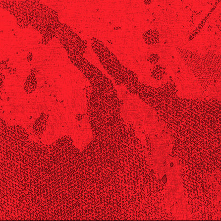 Red fabric texture with a subtle pattern