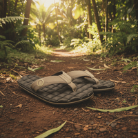 Pair of sandals on a forest floor with sunlight filtering through the trees