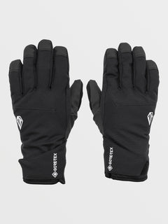 Mens Cp2 Gore-Tex Gloves - Black (J6852404_BLK) [F]