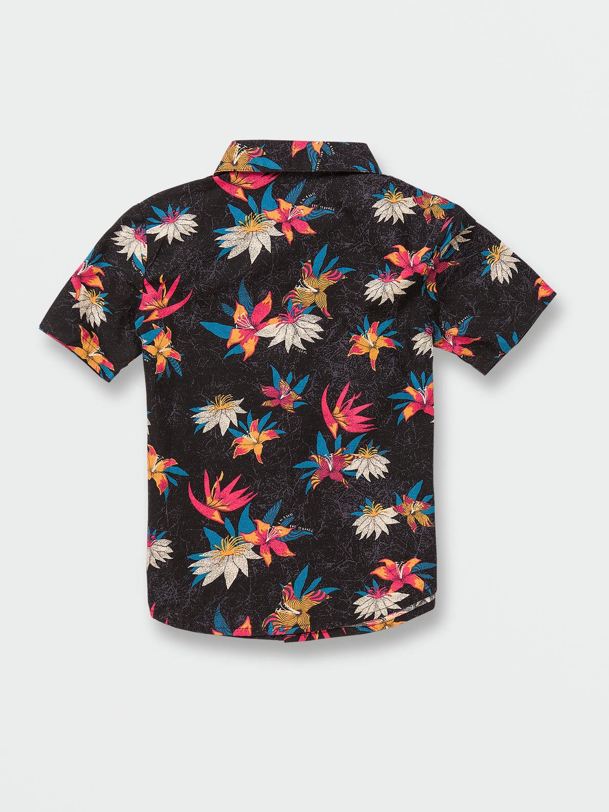 Little Boys Warbler Short Sleeve Shirt - Black Floral Print 3